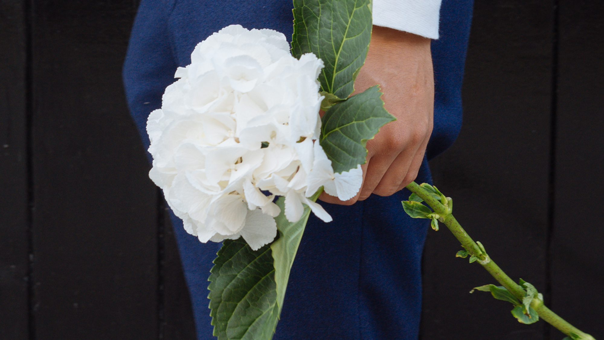 Winter wedding flowers