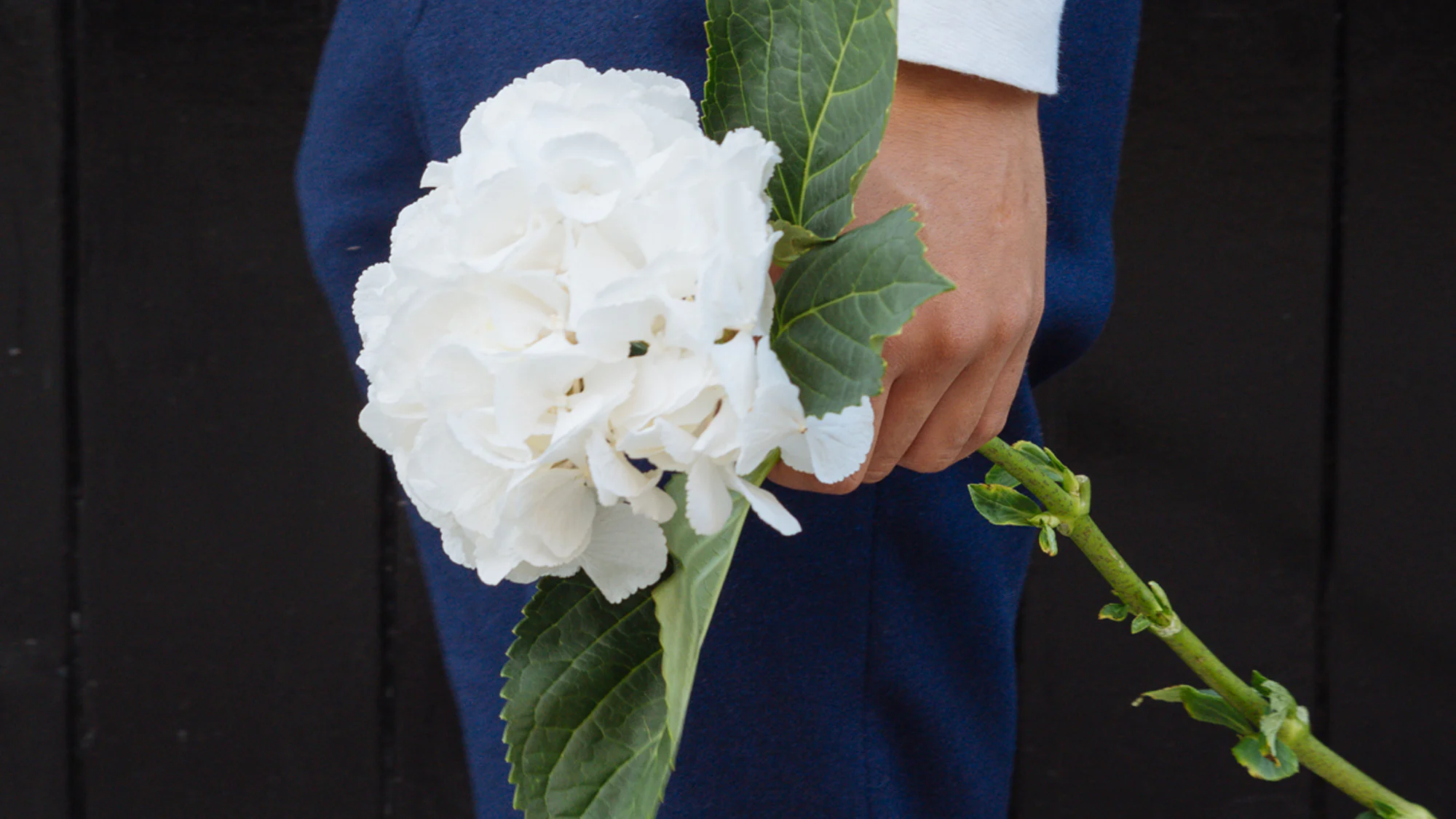 Winter wedding flowers