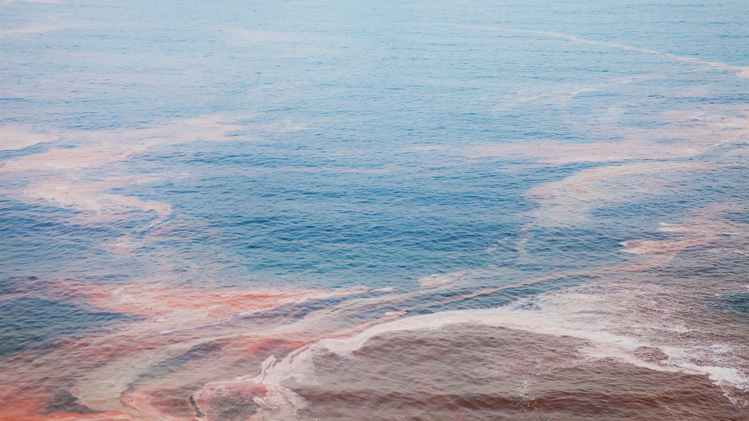 Floom’s Six Favourite Sustainable Brands