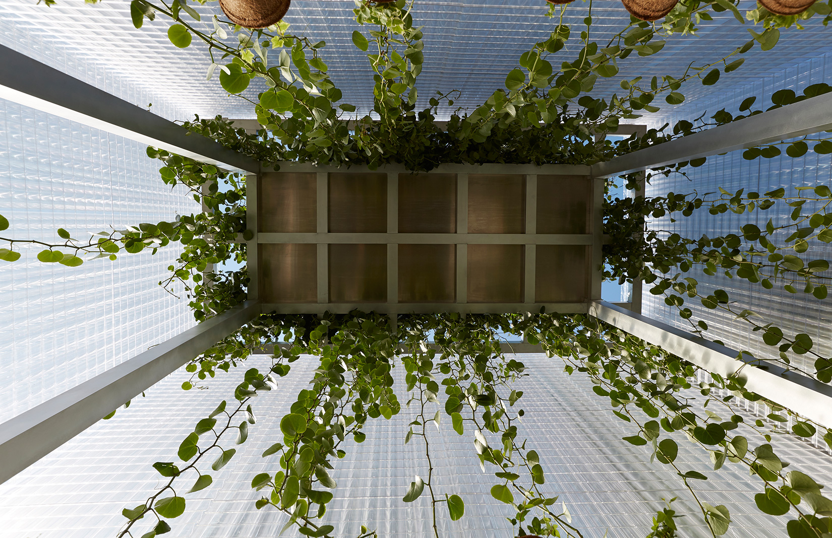 Asif Khan at LDF: The architectural relief of Forests