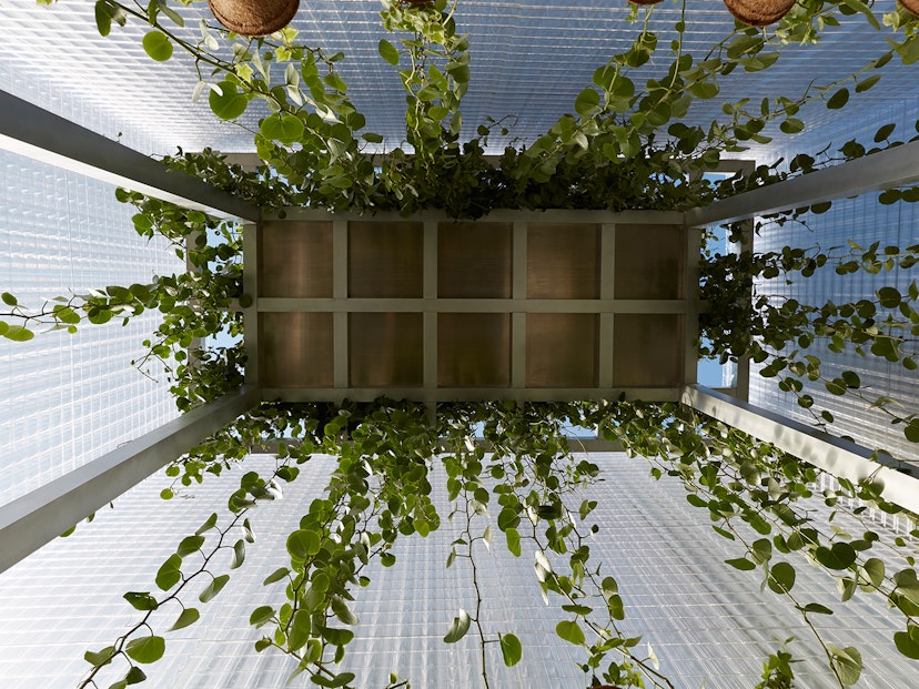 Asif Khan at LDF: The architectural relief of Forests