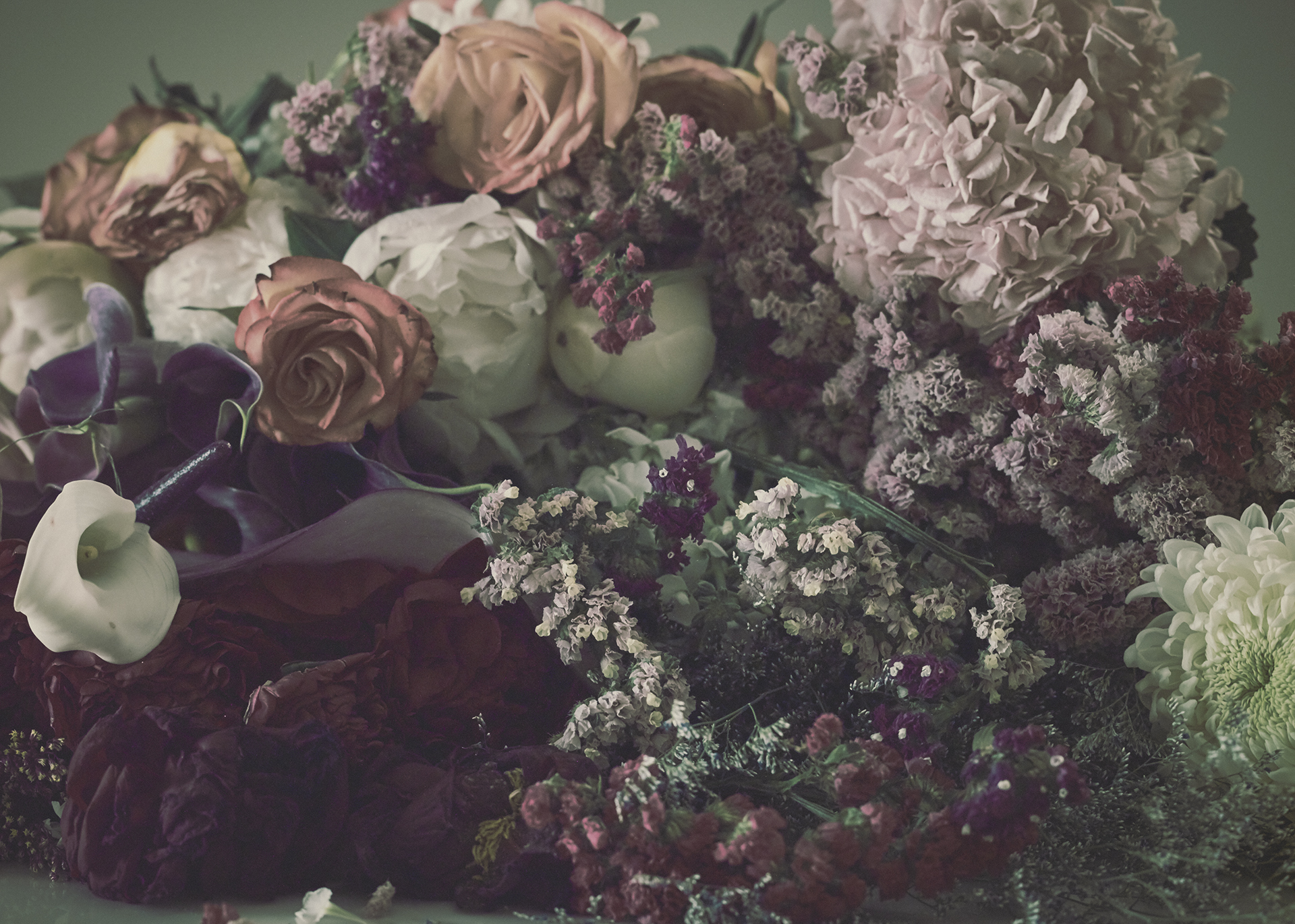 The Heady World of Regime Des Fleurs