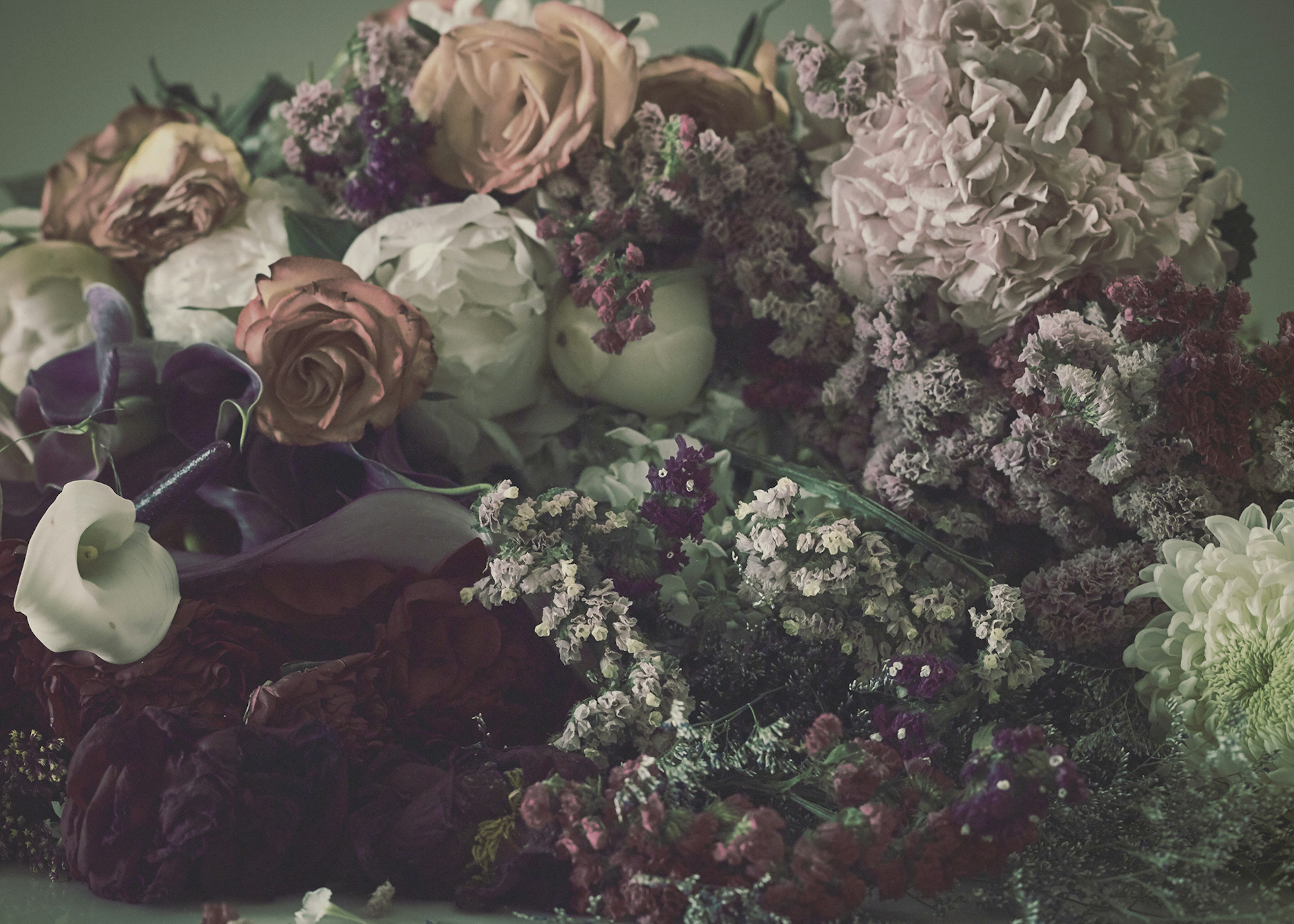 The Heady World of Regime Des Fleurs