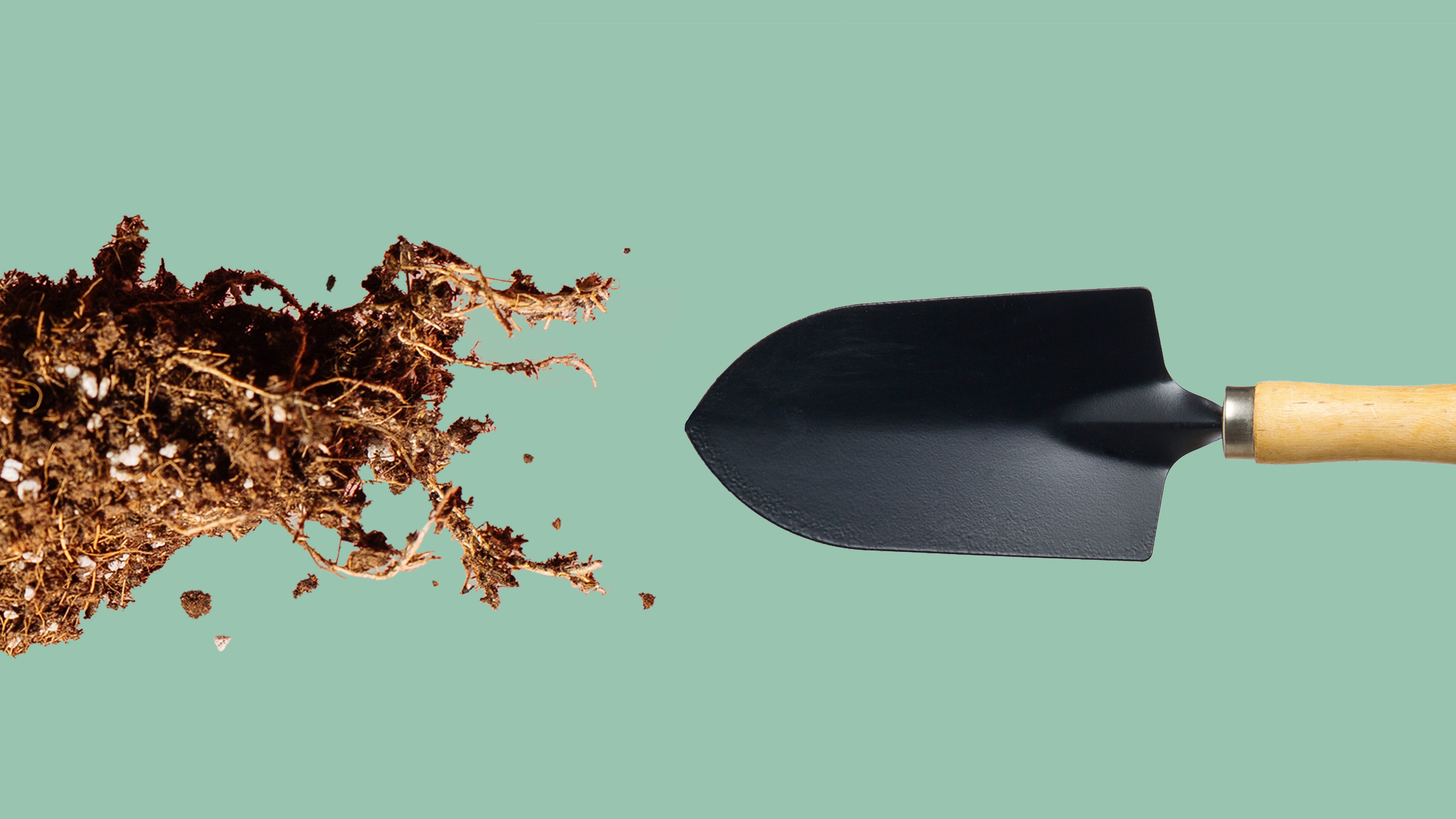 The Best Of The Chelsea Flower Show