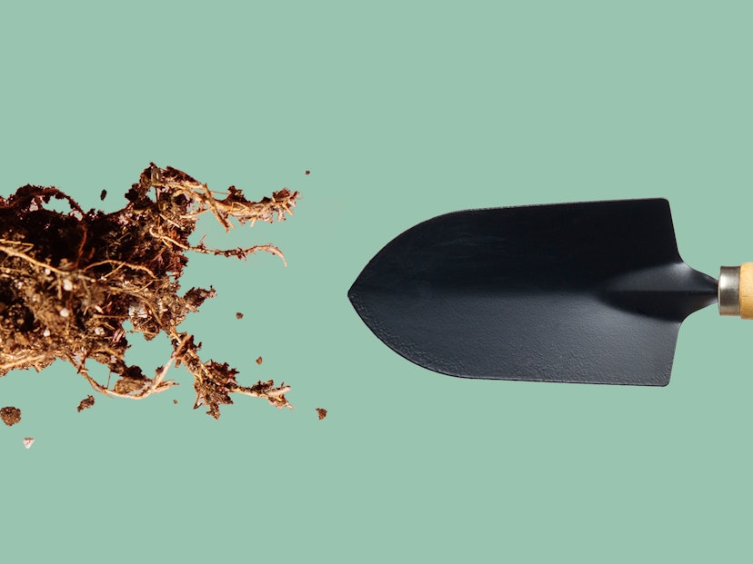 The Best Of The Chelsea Flower Show