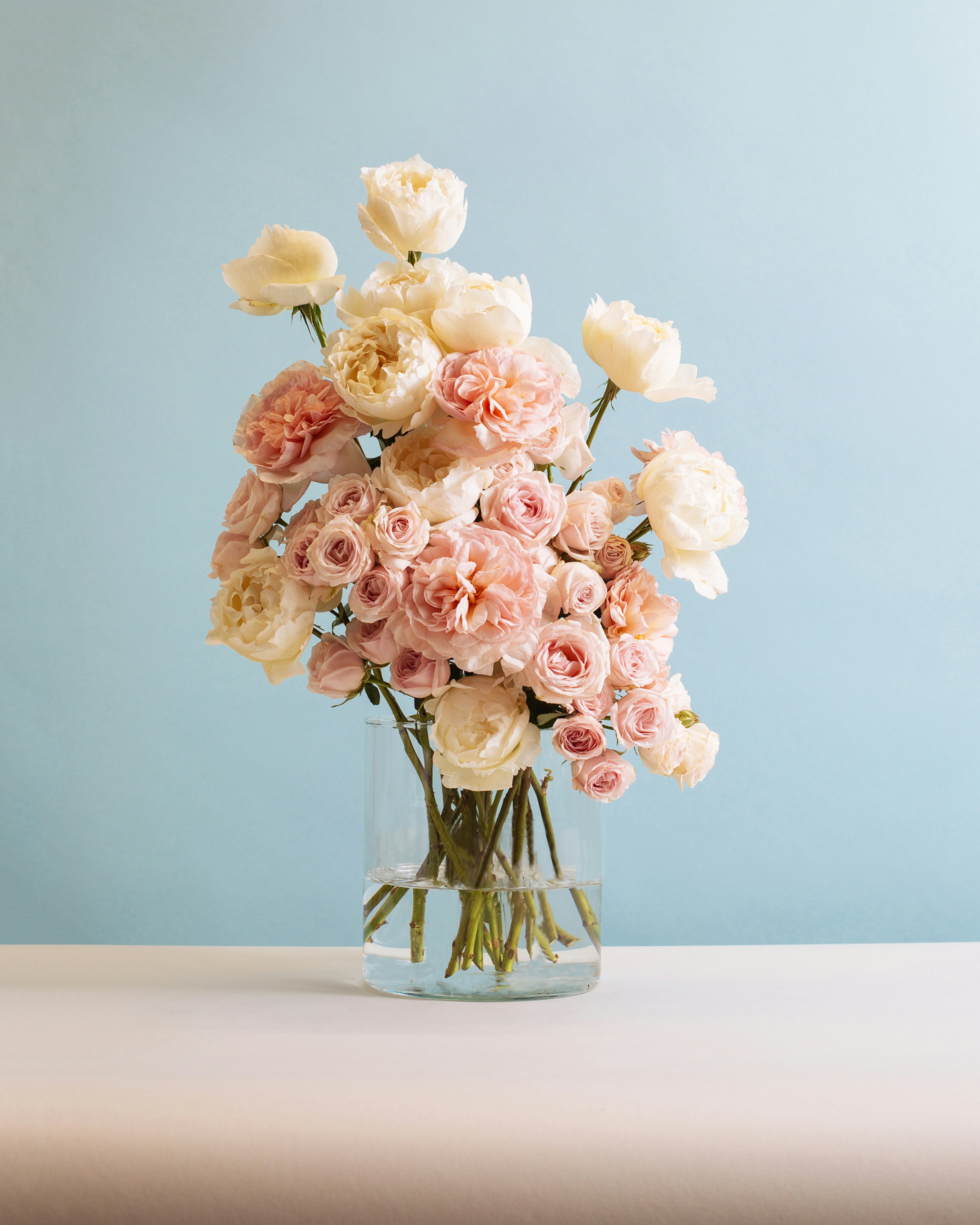 5 tips on what to do with your withering rose petals