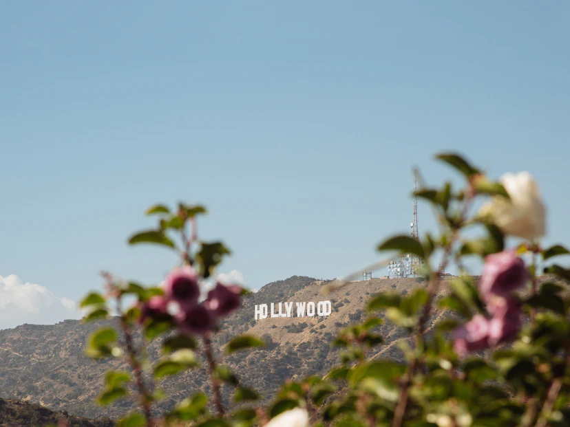 A-Z of LA