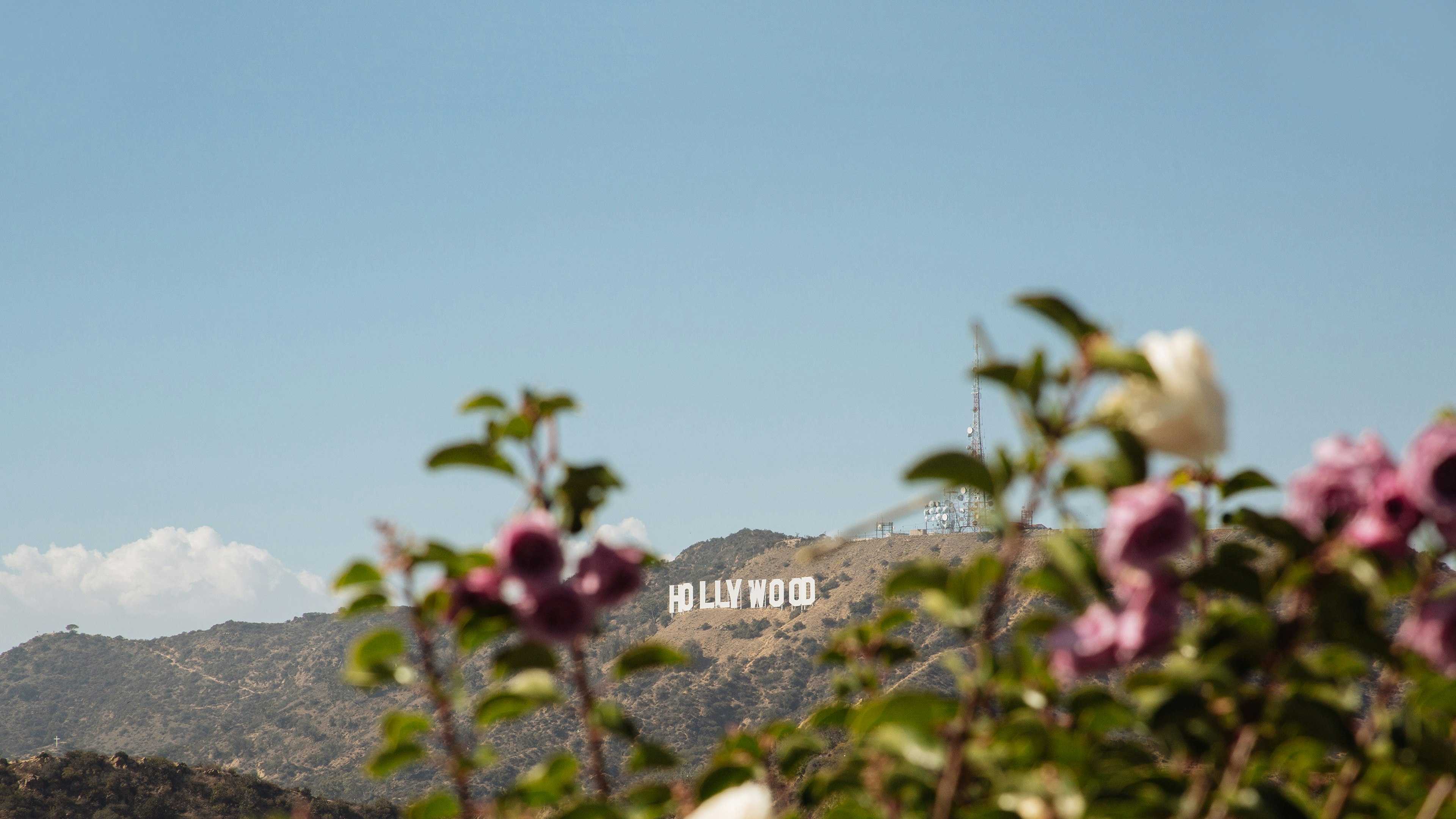 A-Z of LA