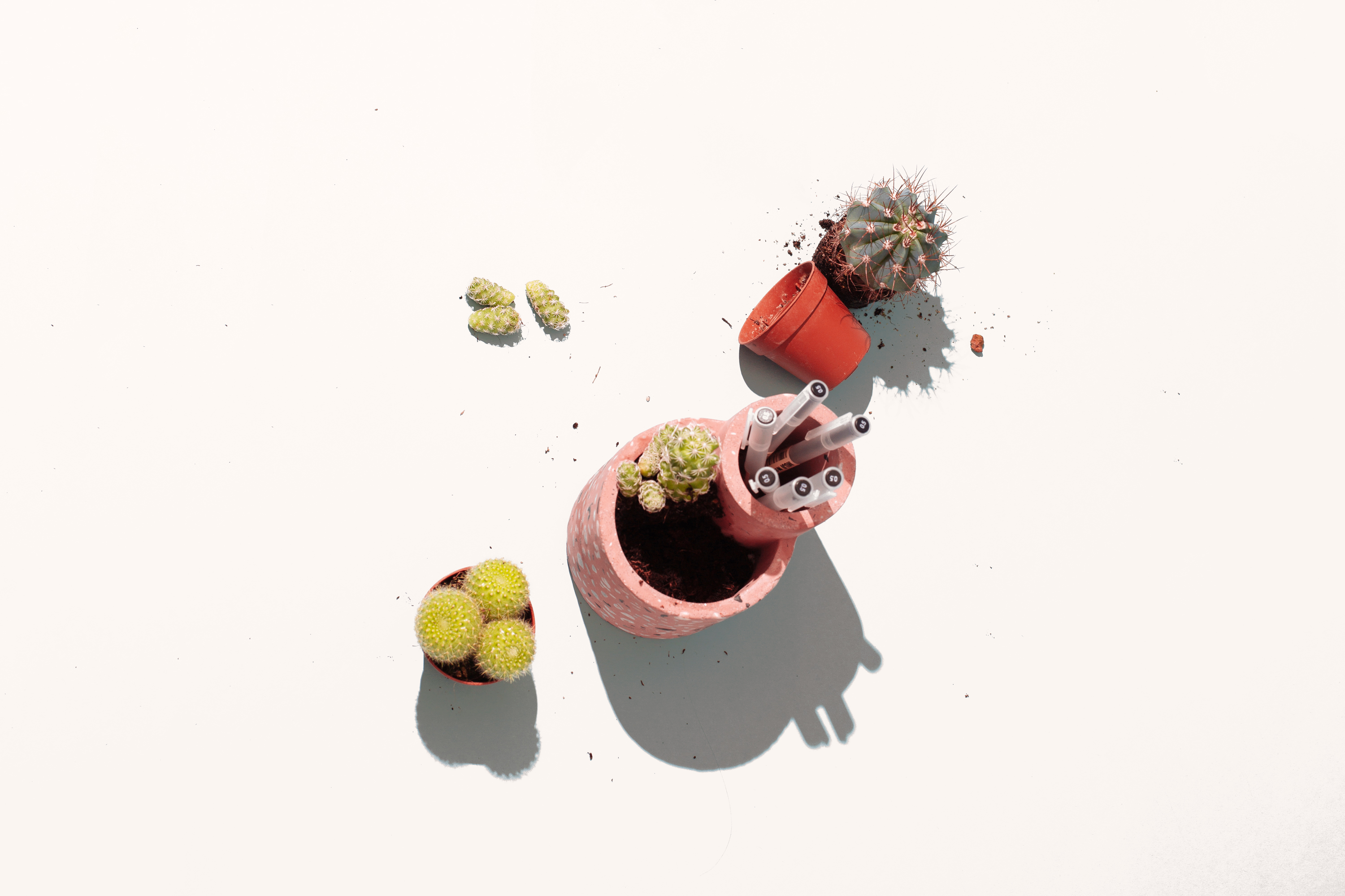 How to keep your pricks content