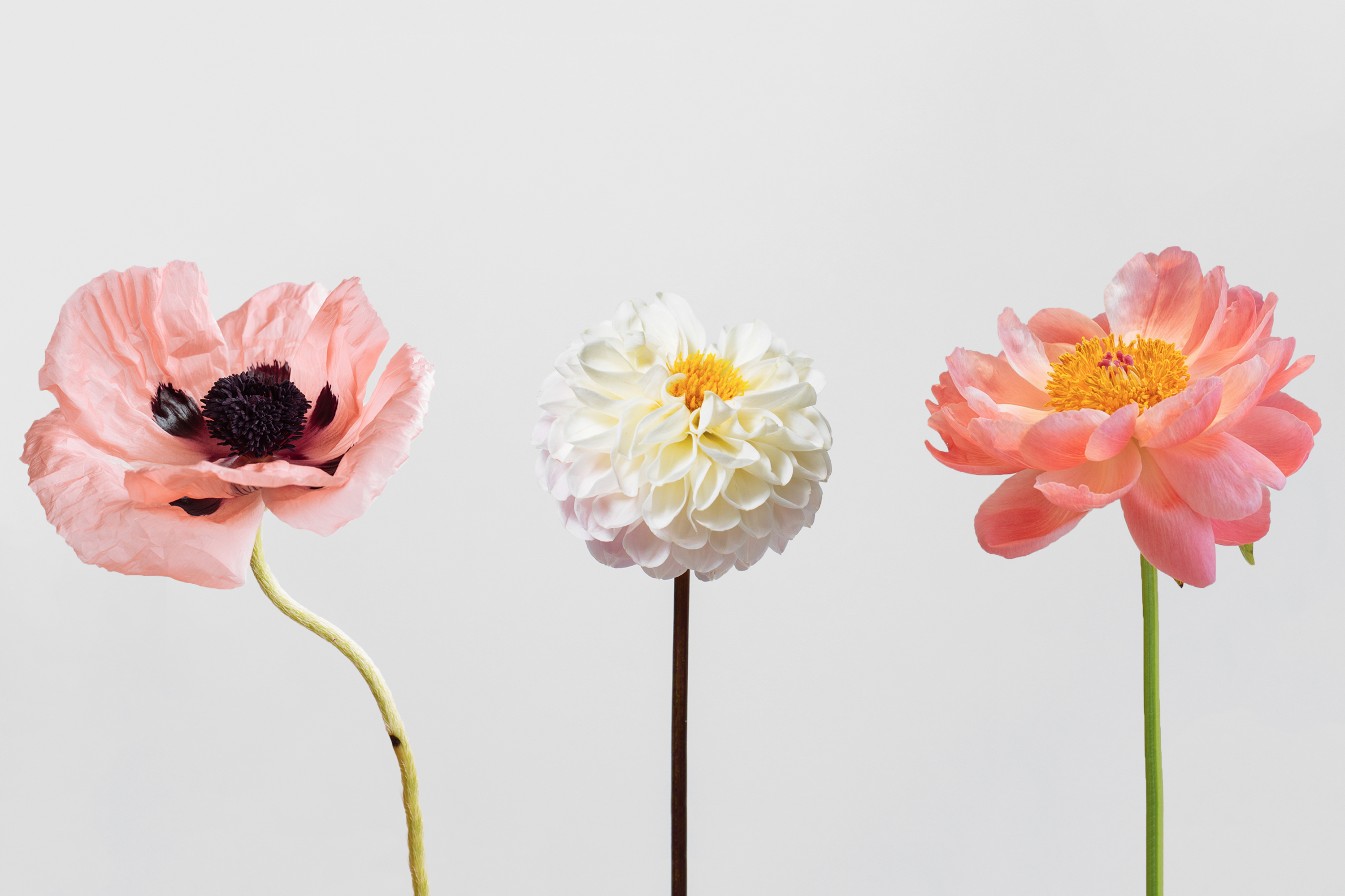 Elizabeth McKenna Flowers