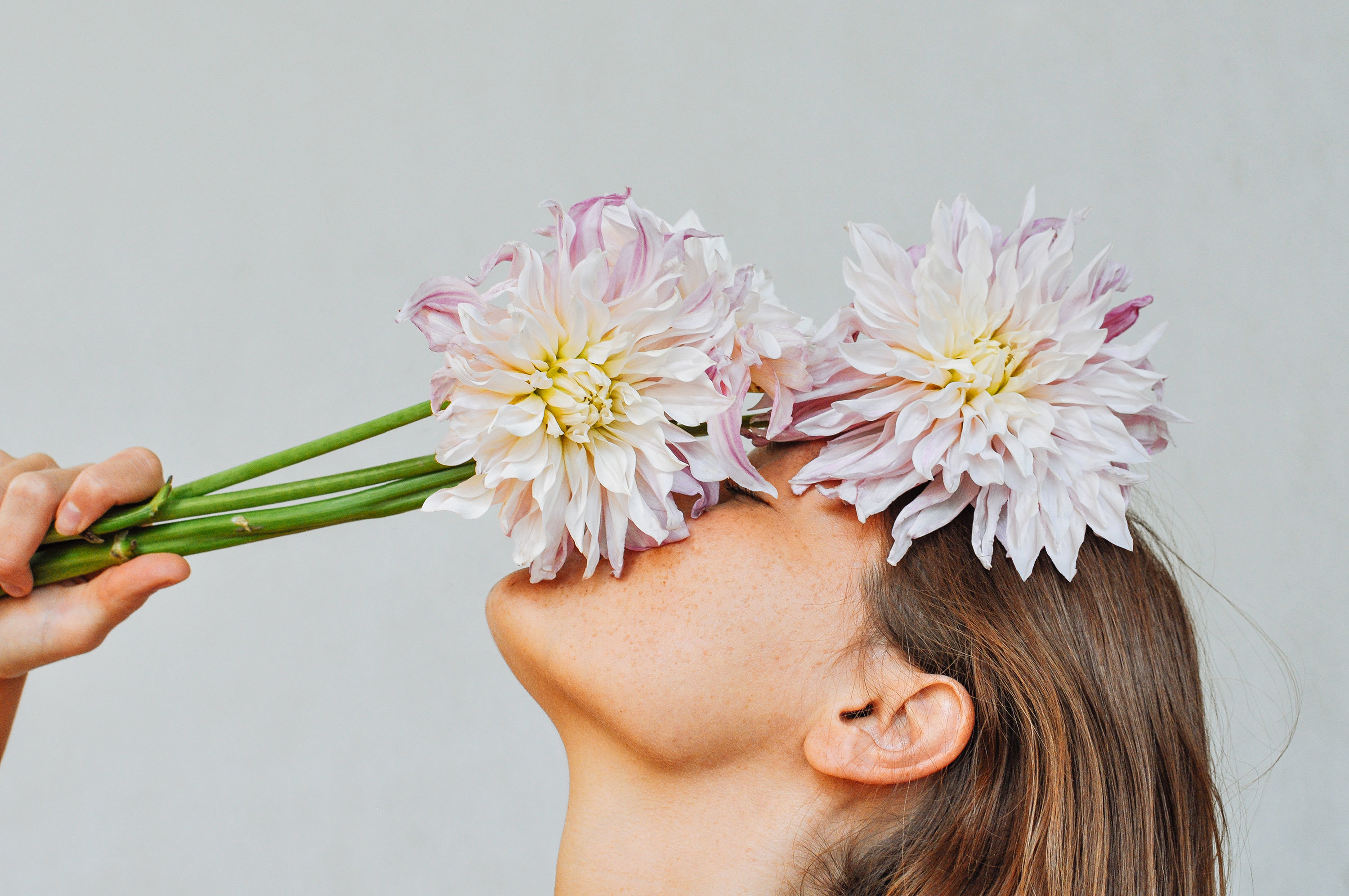 What is a dinner plate dahlia?