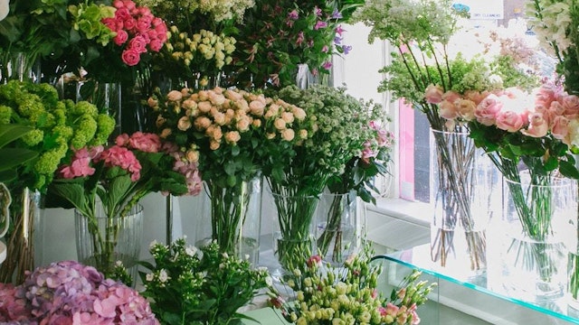 All About Flowers