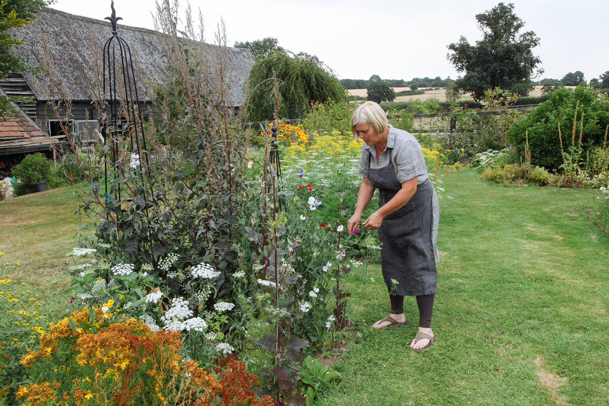 Flowers From My Garden