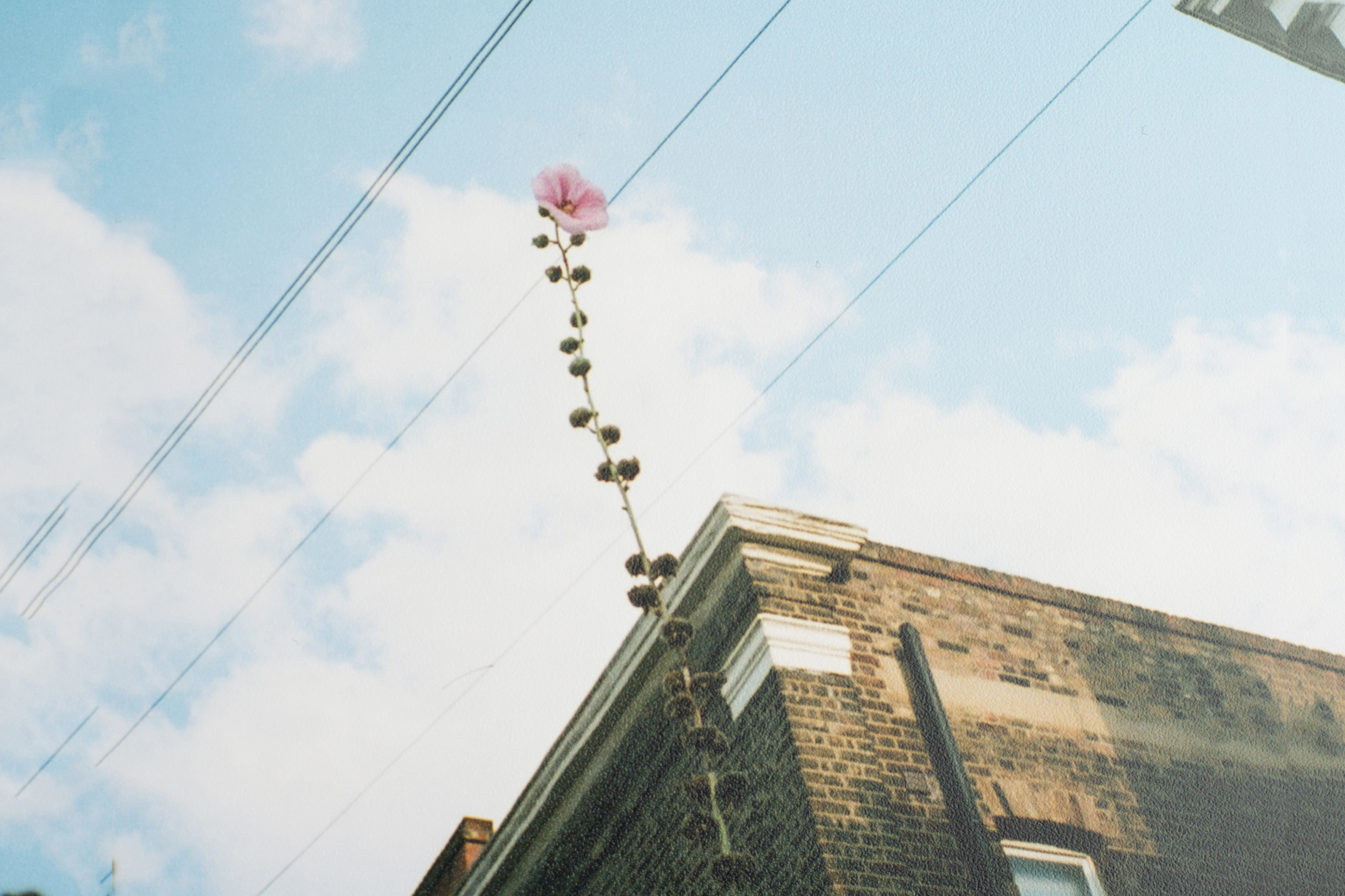 The Floom Guide: Hackney