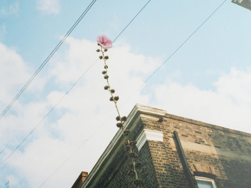 The Floom Guide: Hackney