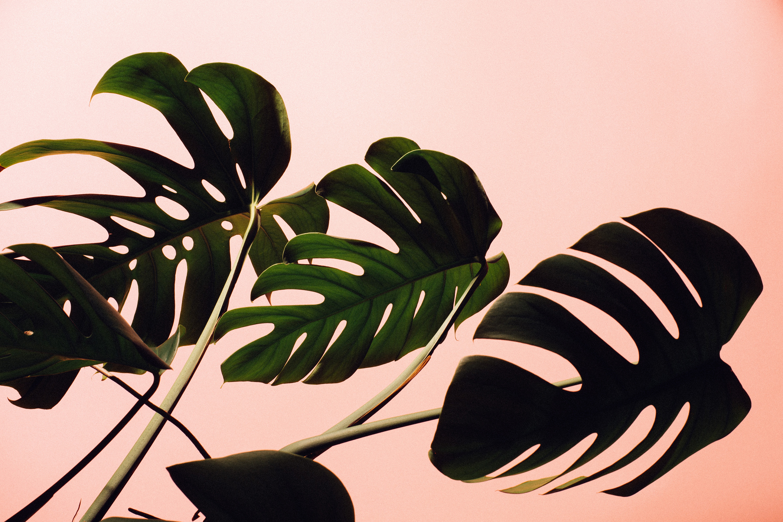 September Green Insta-inspo