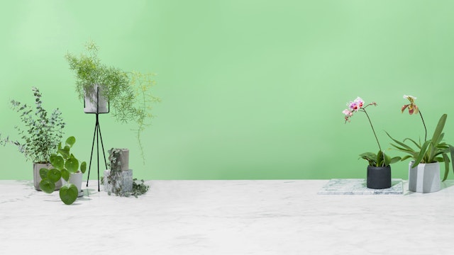 Plant delivery