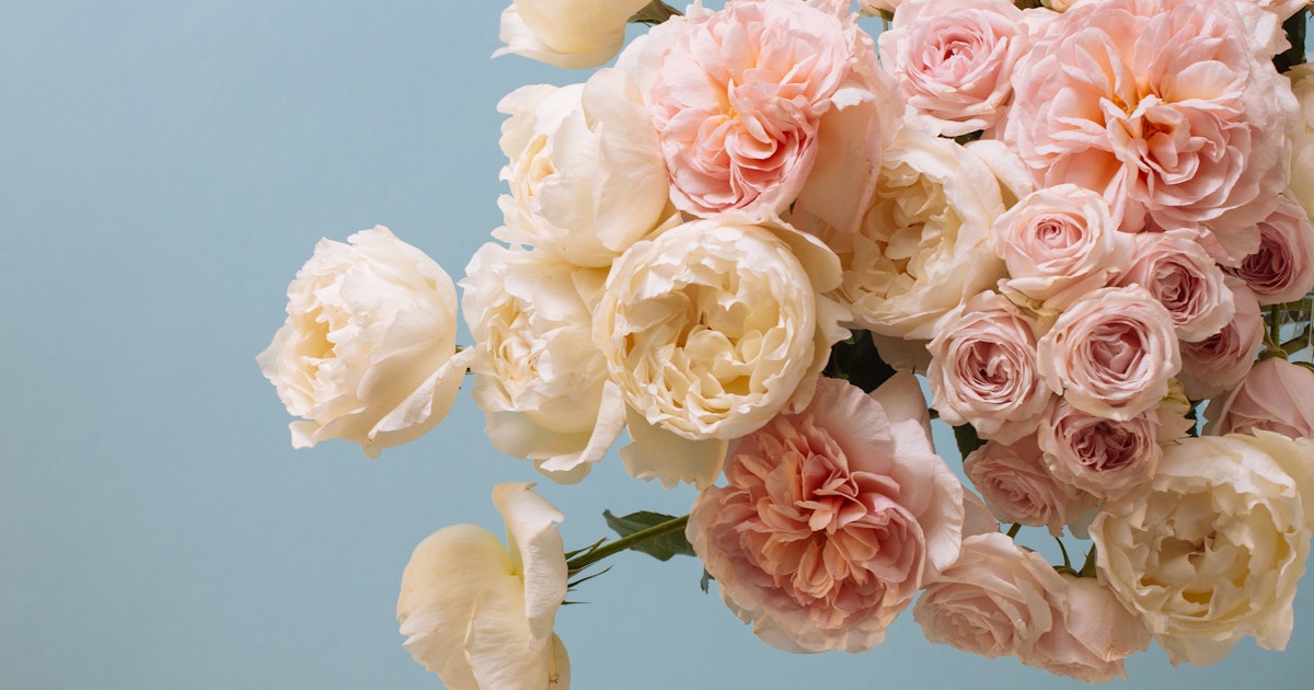 Longacres Garden Centre | Bagshot | Artisans | Floom