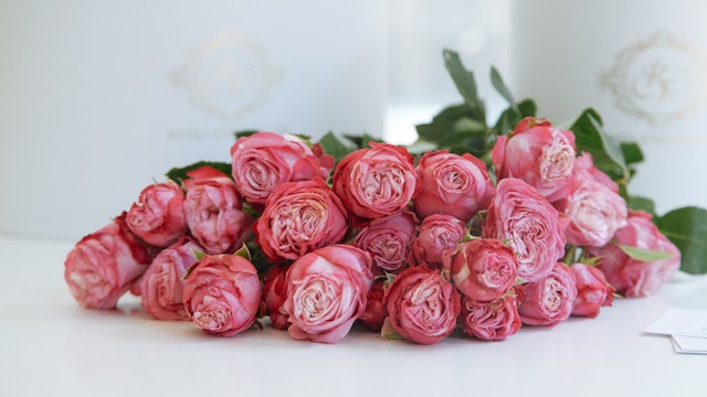 Roses Enhanced