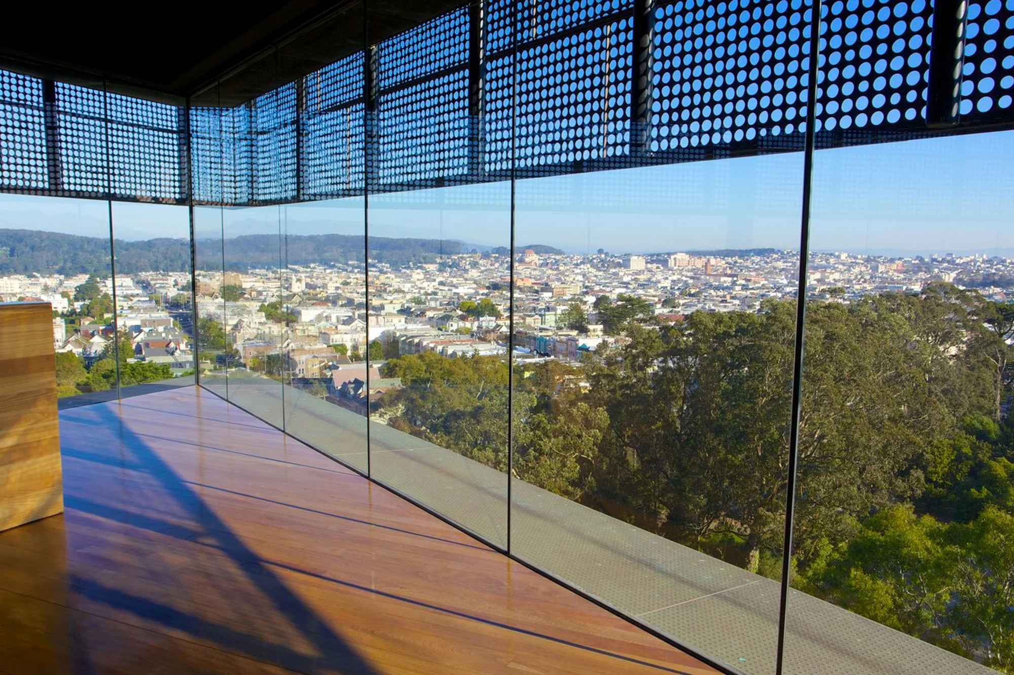 Floom’s Favourite Botanical and Secret Gardens in San Francisco