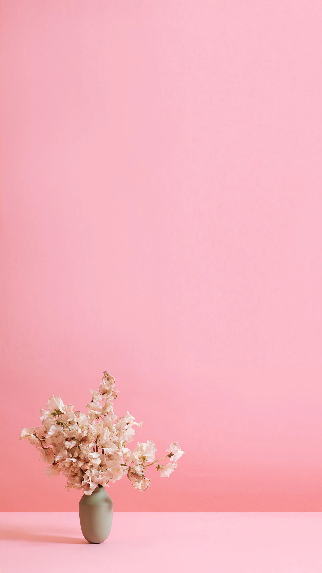 Carnations - Floom flower delivery