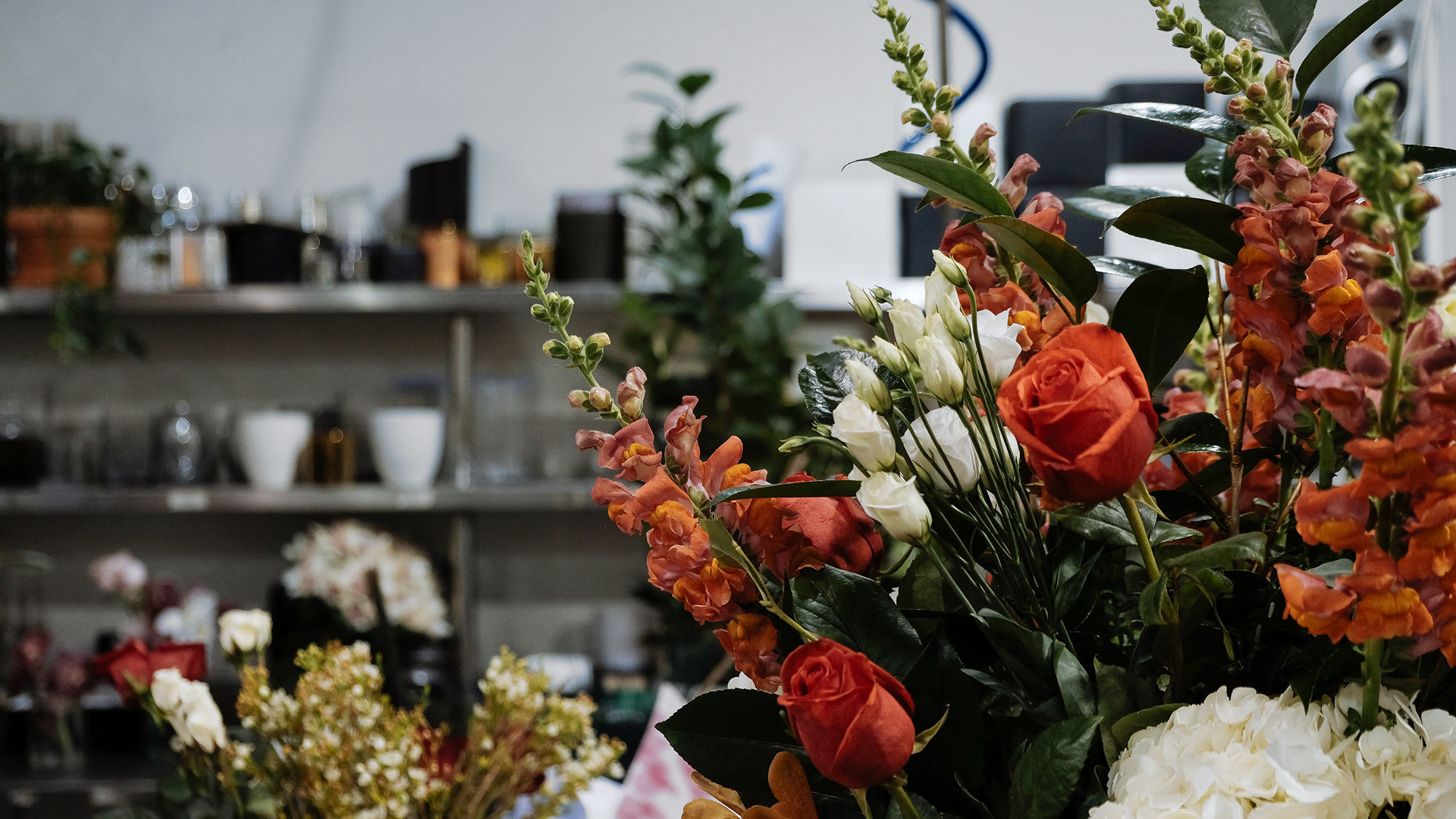 Same Day Brooklyn Flower Delivery Brooklyn Florists Floom