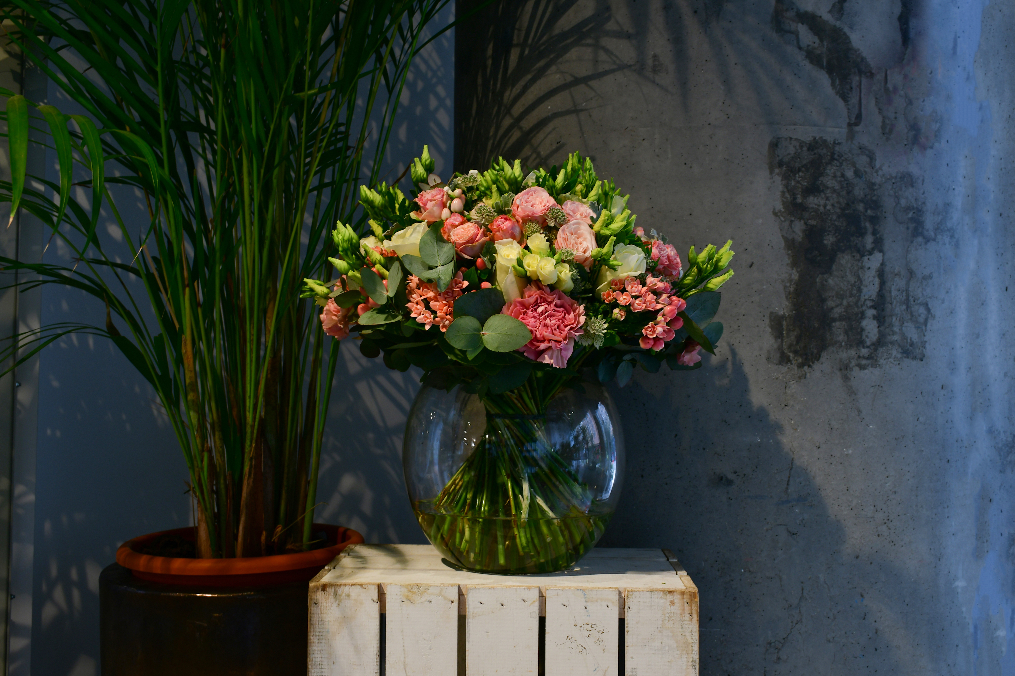 Moyses Stevens Flowers — florist in Kensington And Chelsea
