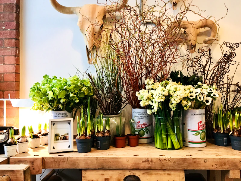 mr.co.flowerhouse — florist in Islington