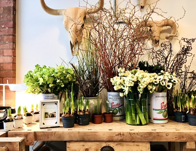 mr.co.flowerhouse