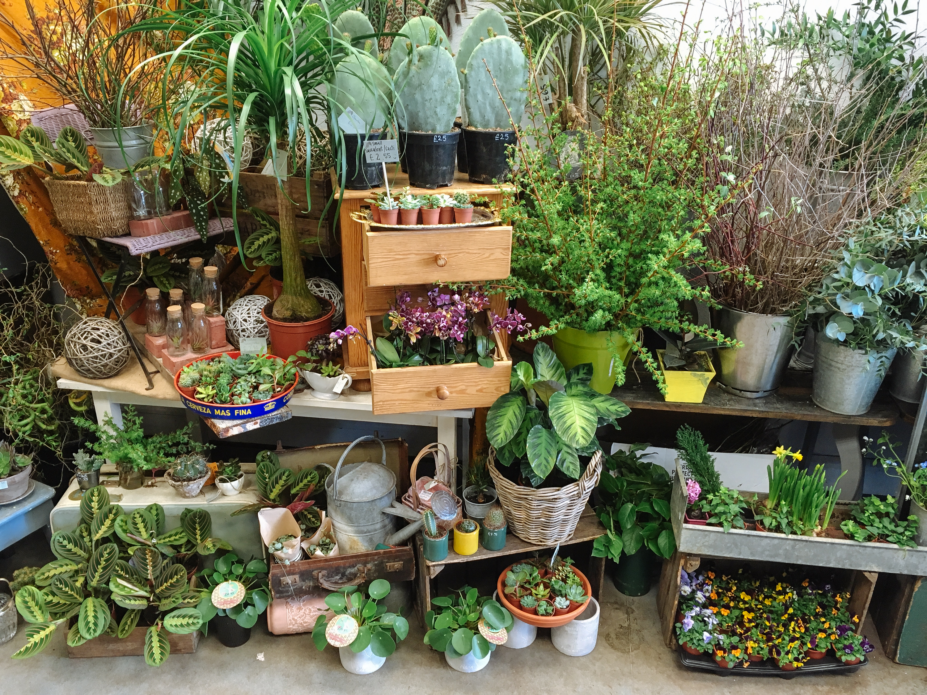 The Brighton Flower Company