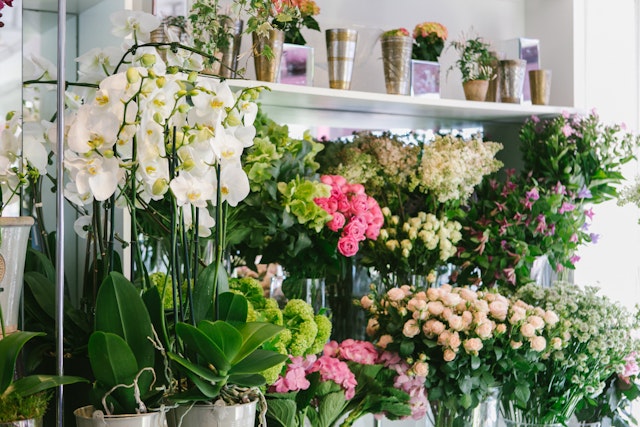 Verdure Floral Design