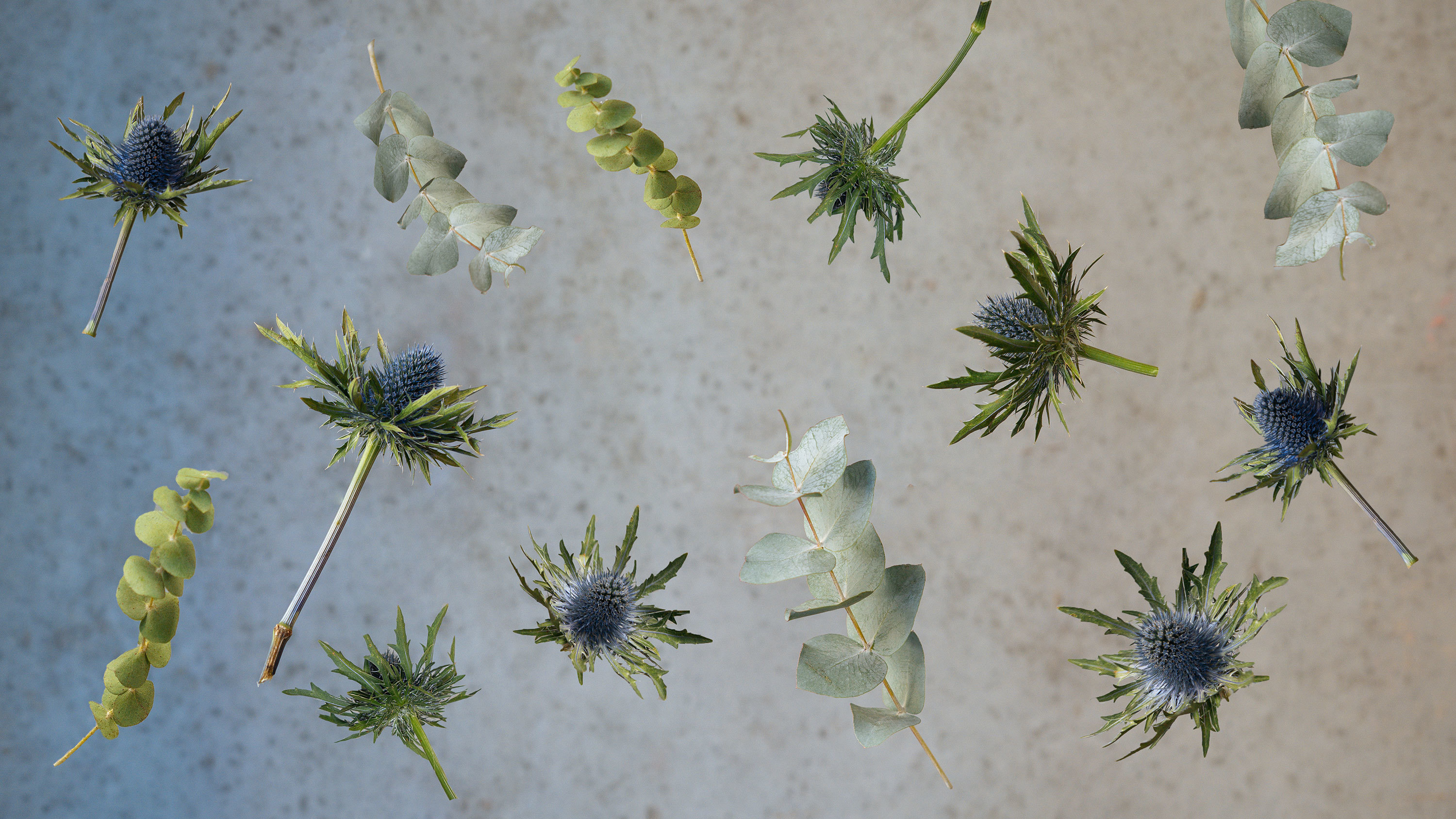 Plastic free decorations for Christmas