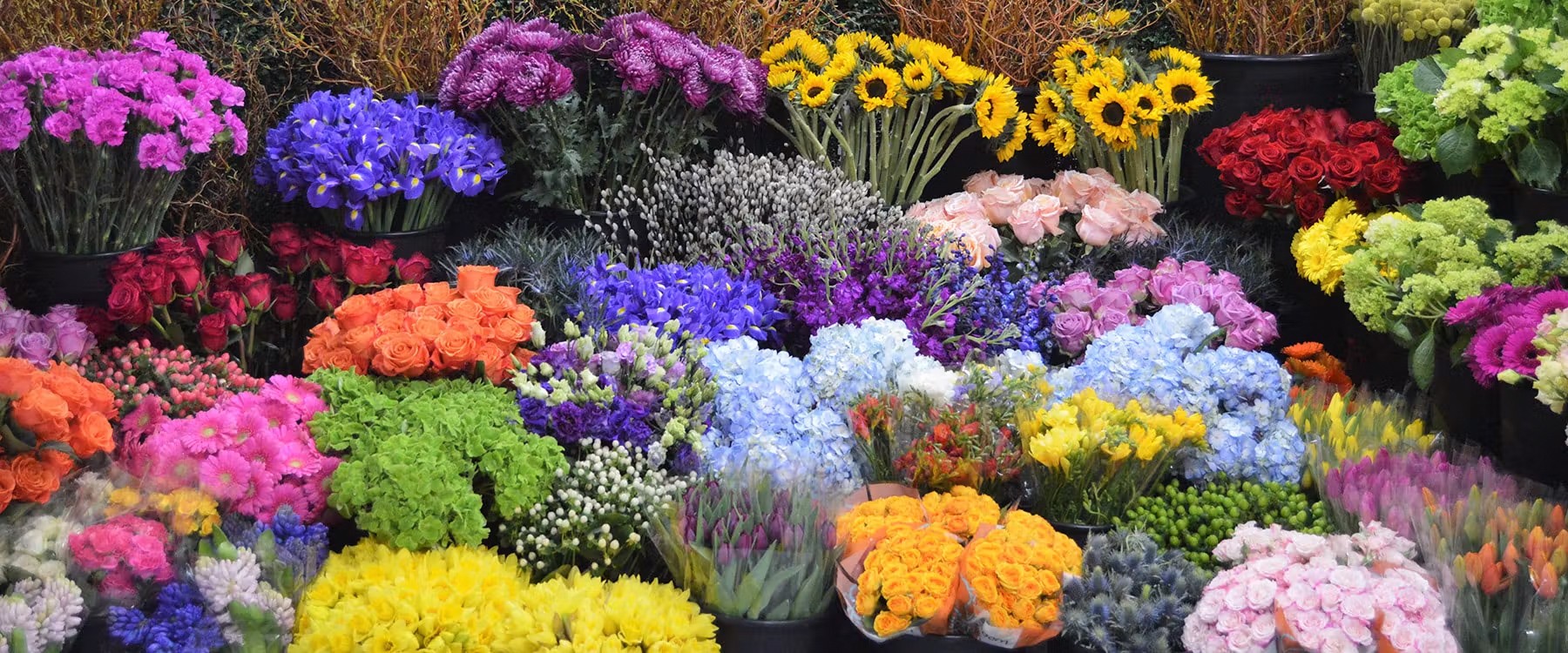 Just Bloomed — florist in Sudbury