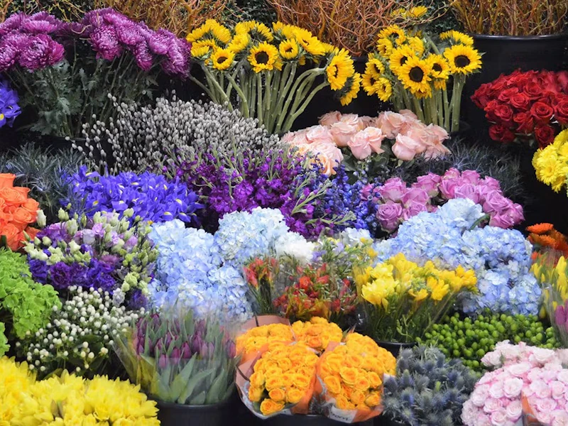 Just Bloomed — florist in Sudbury