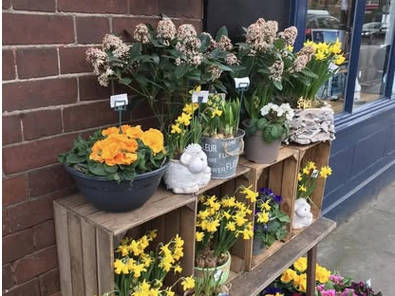Village Flowers — florist in Haringey