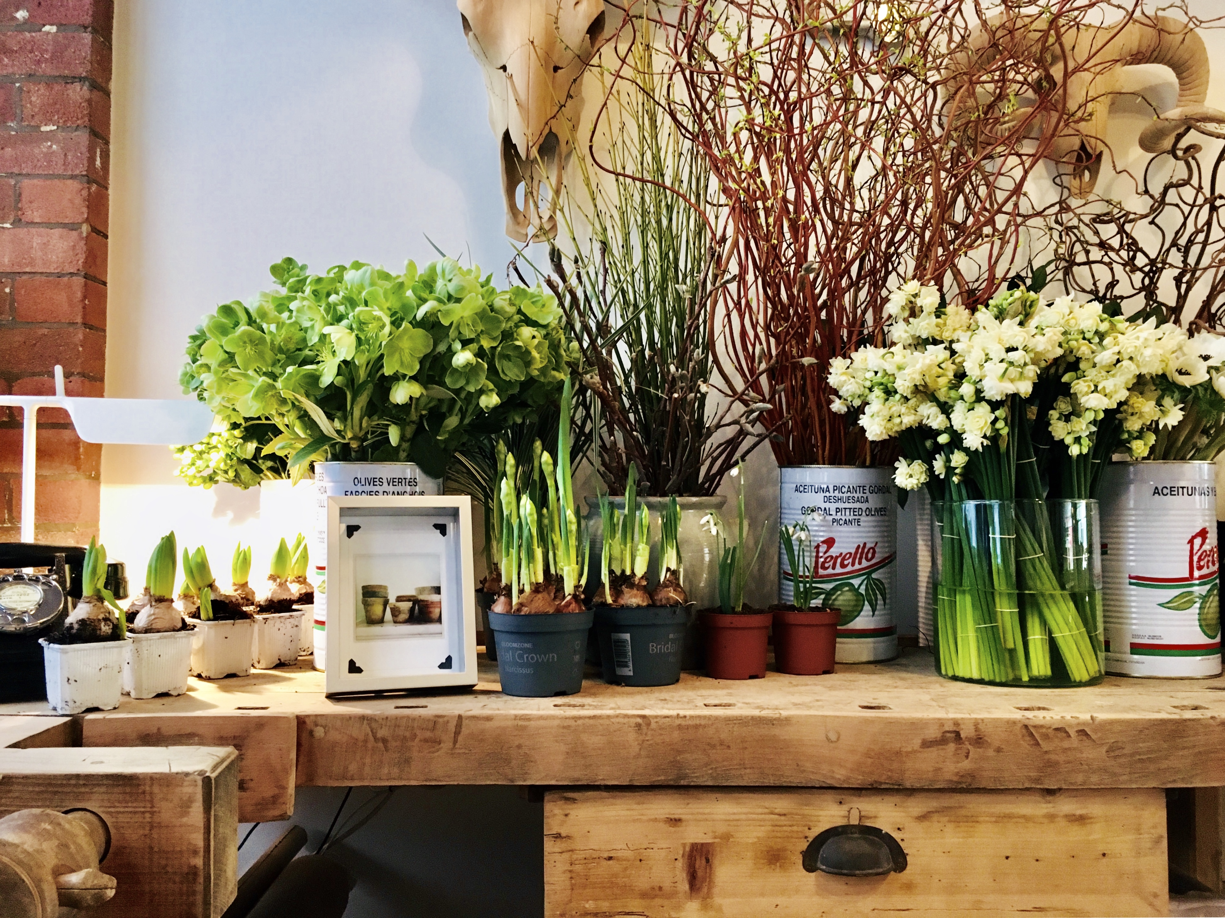 mr.co.flowerhouse — florist in Shoreditch