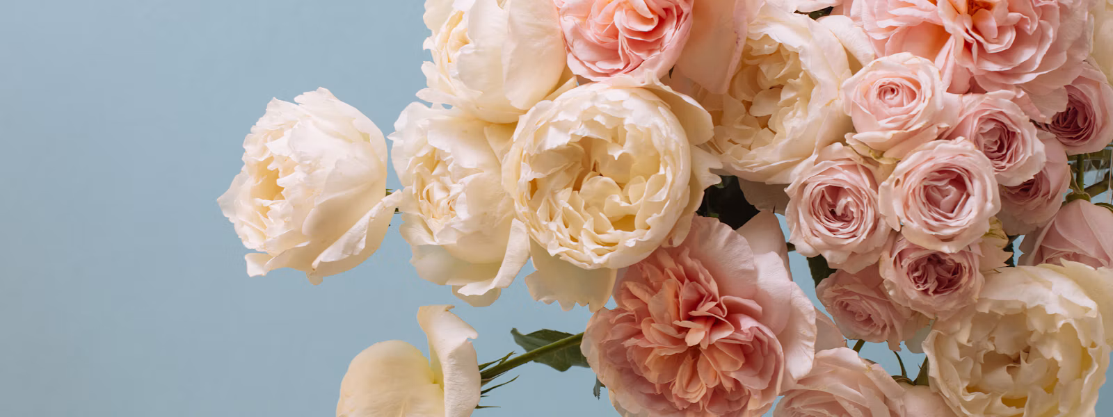 Oriental Flowers — florist in Enfield
