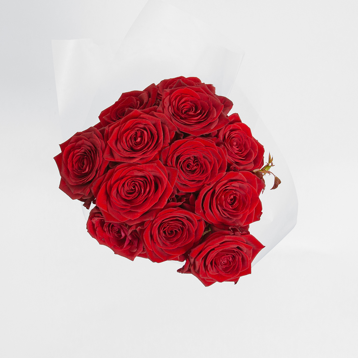 12  Kissing Angels original