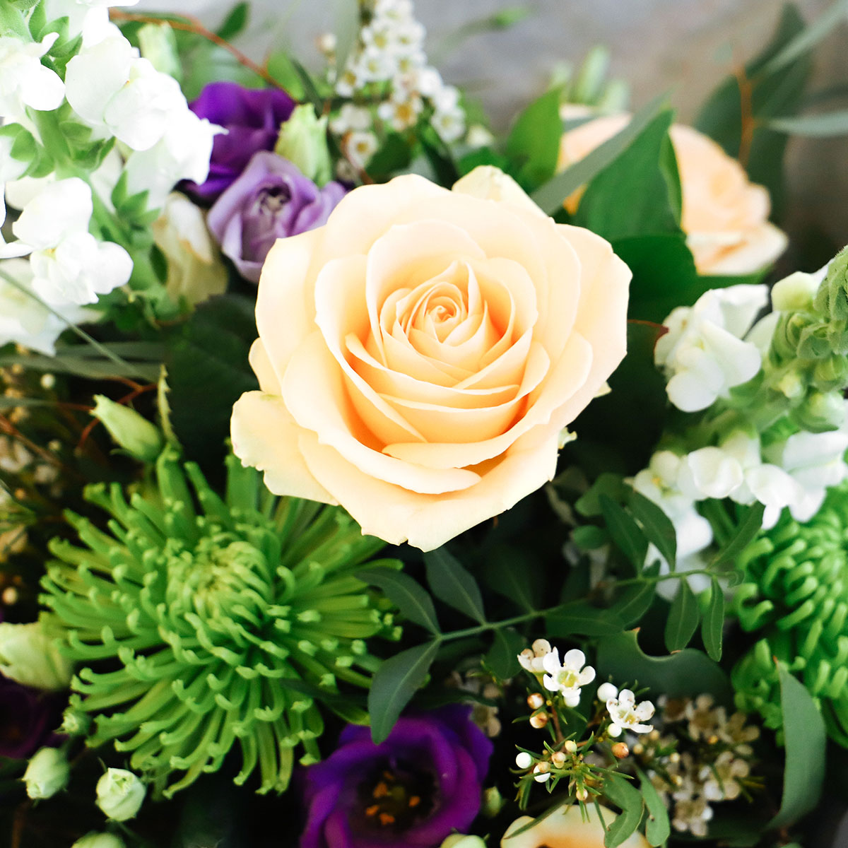 Peachy Perfect original