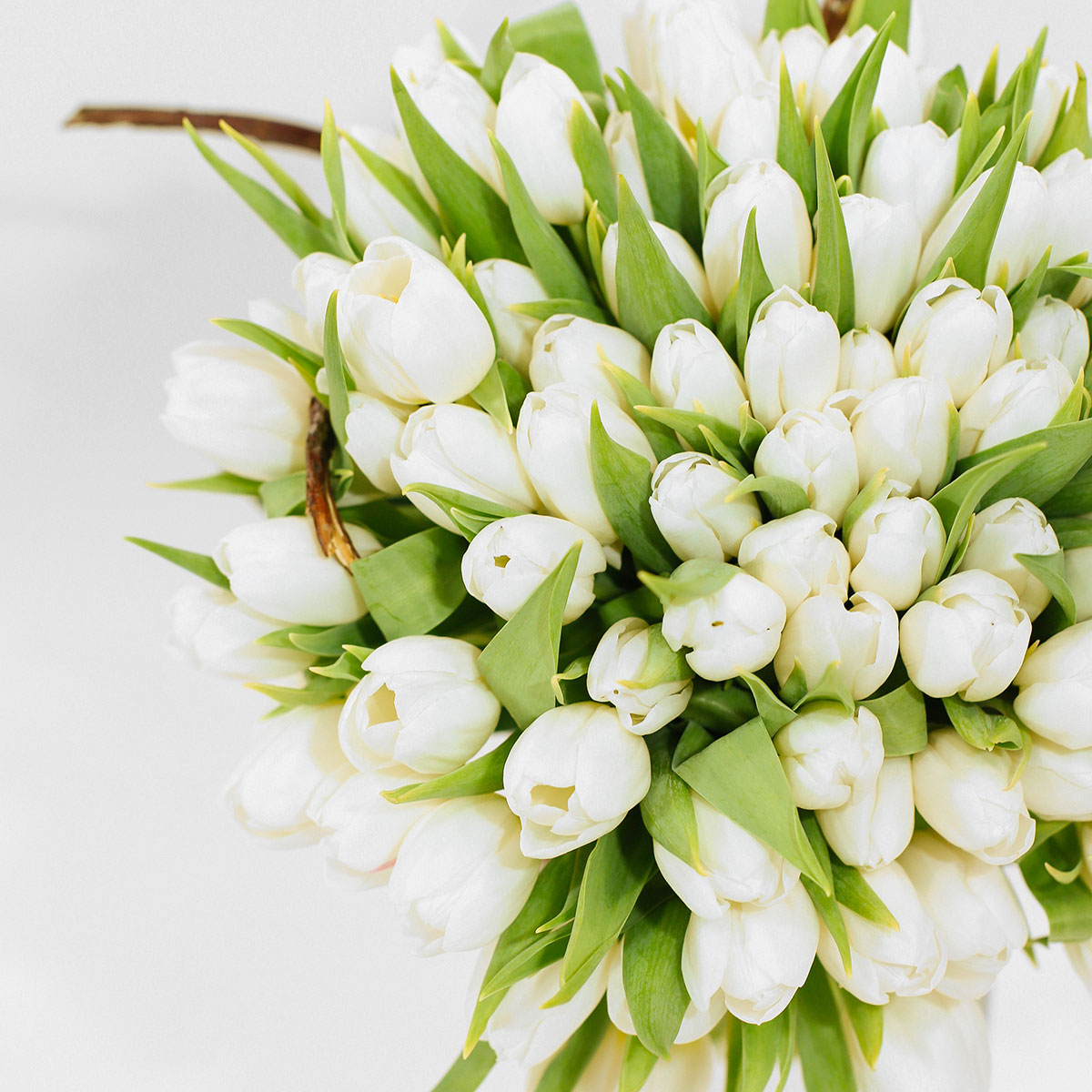 Bel-Air Clouds original