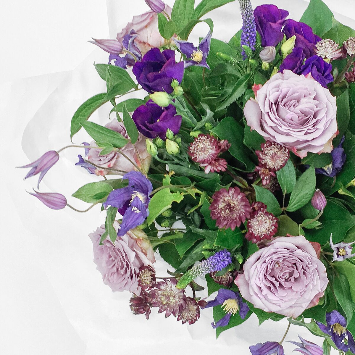 Ultra Violet original