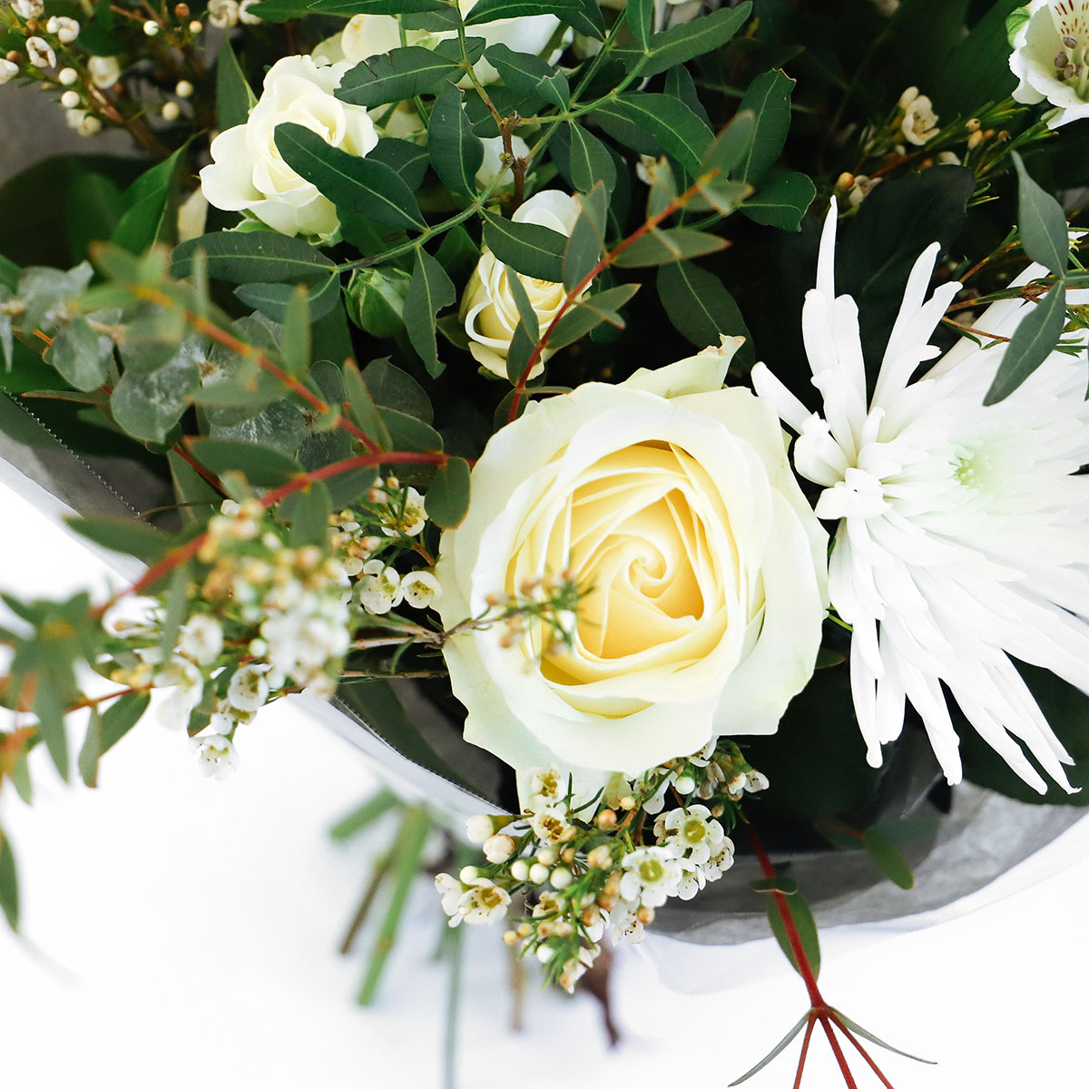 Natural Bliss original