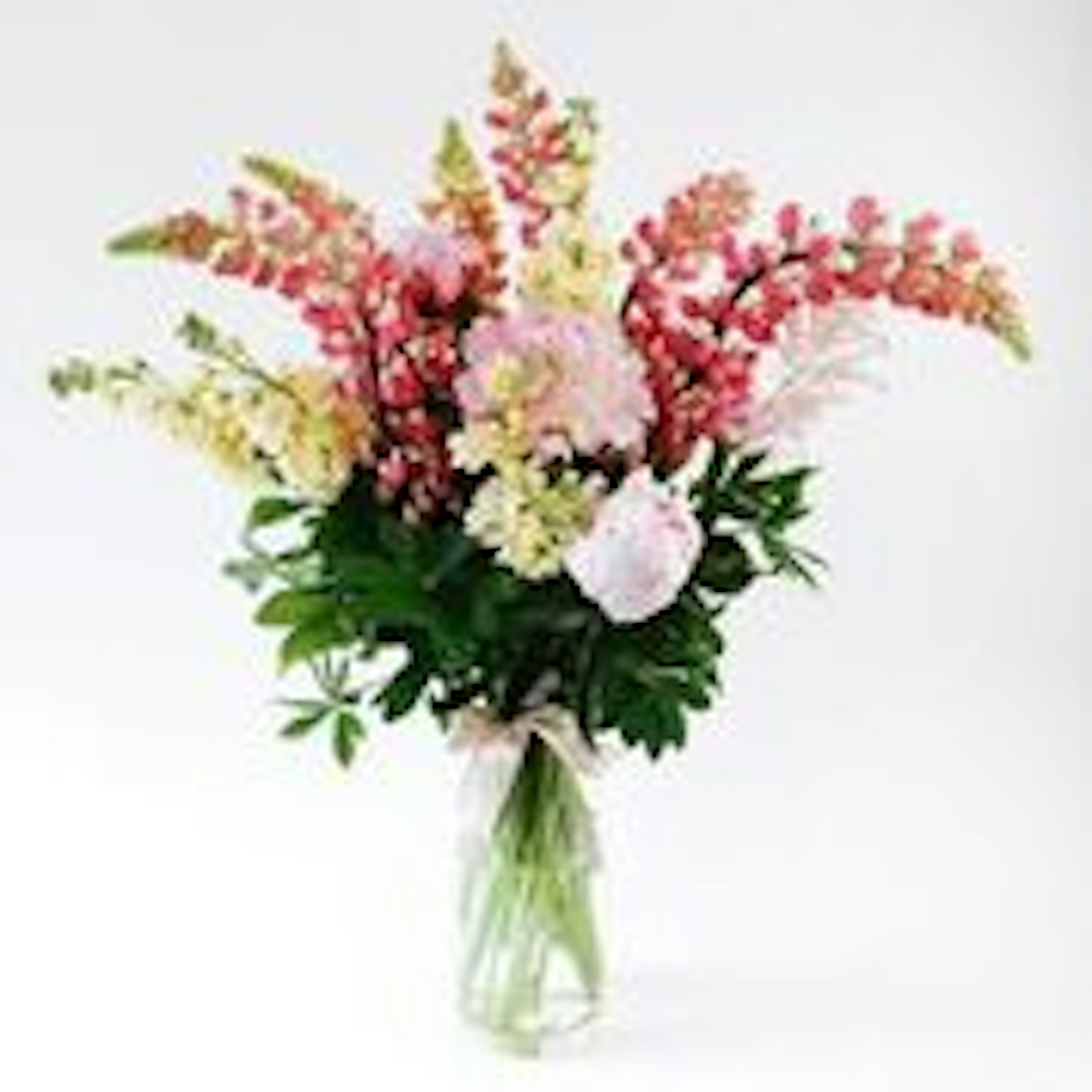 Summer Breeze original