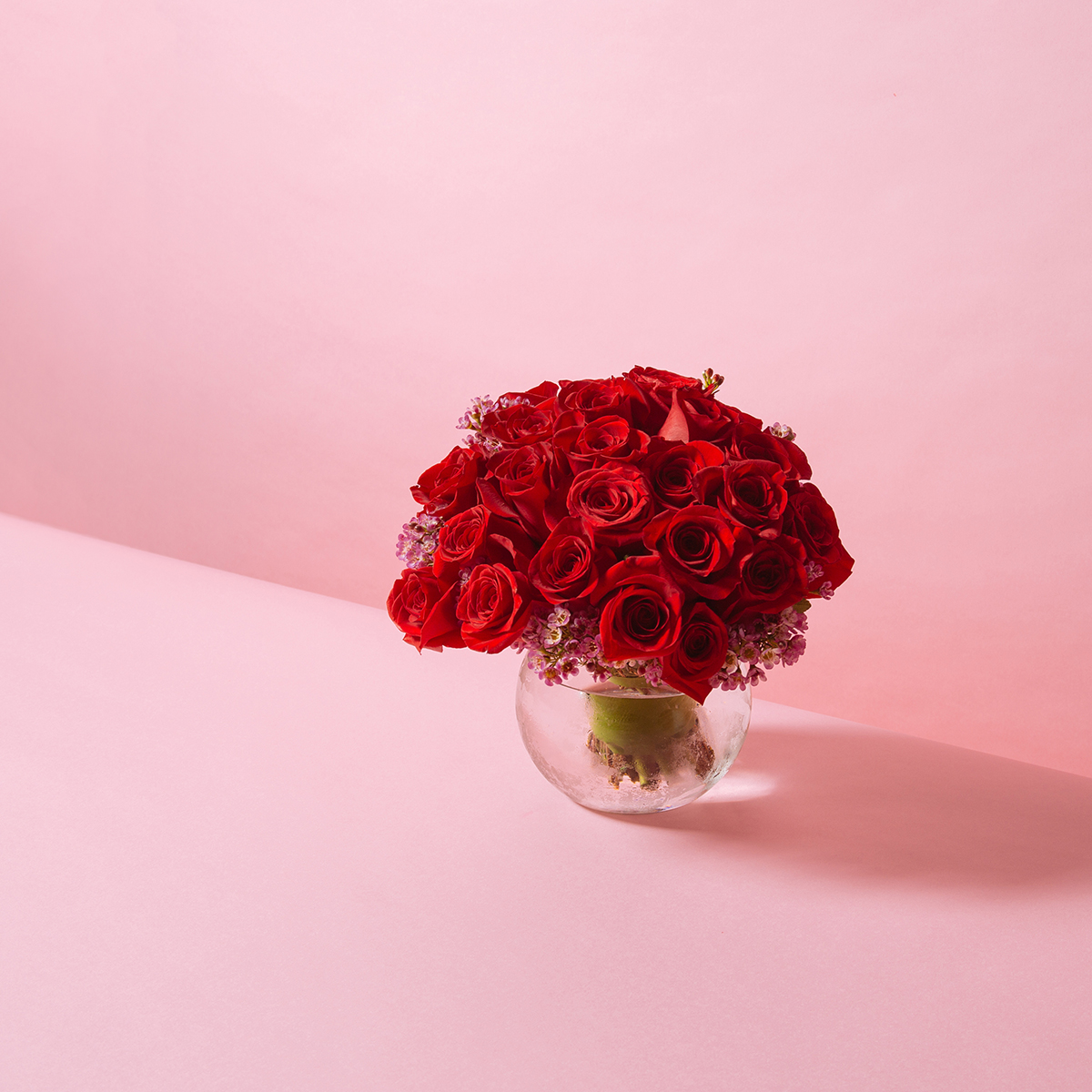 Scarlet Roses original