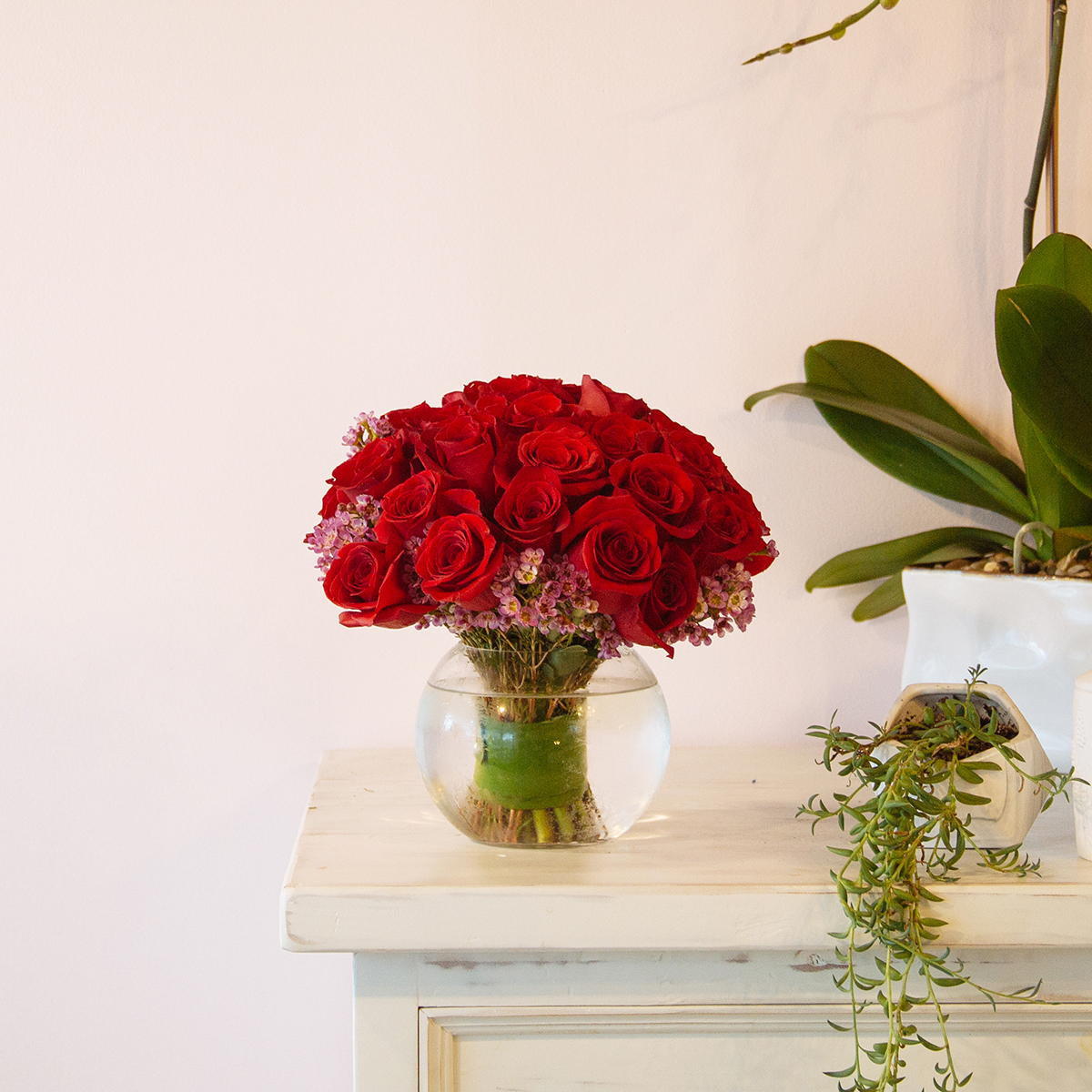 Scarlet Roses original