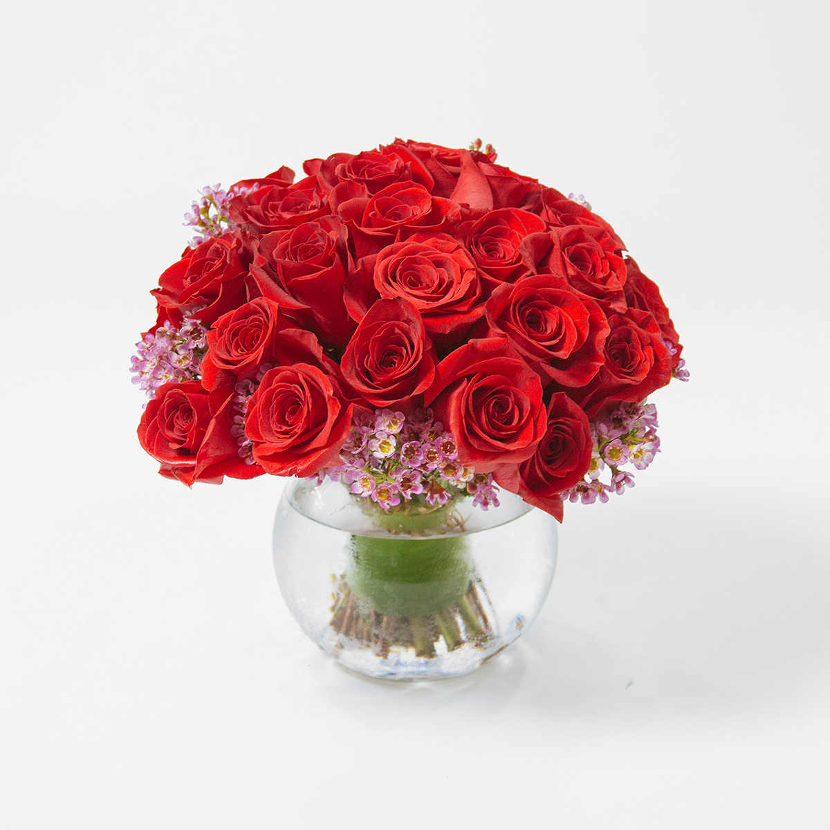 Scarlet Roses original