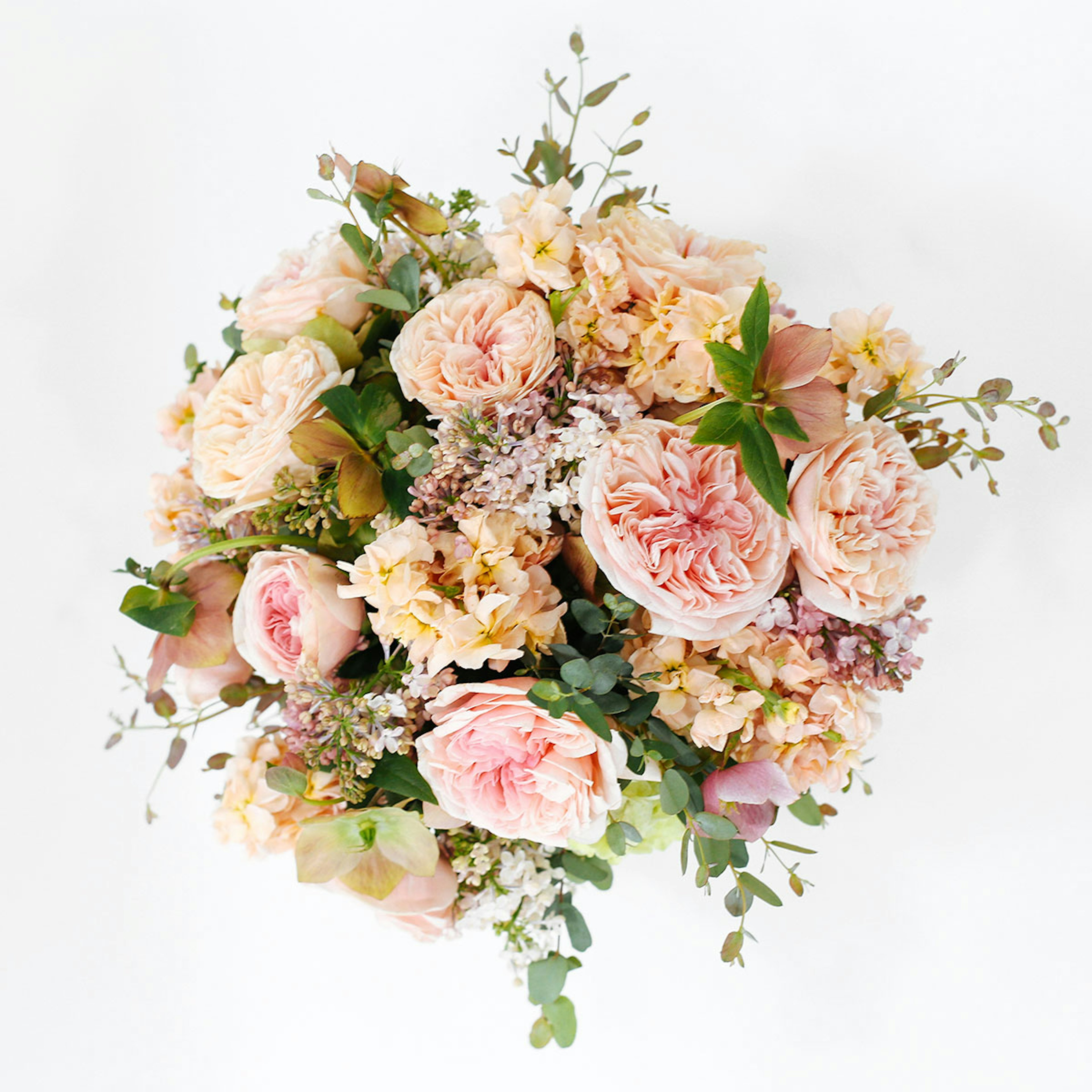 Spring Parade original