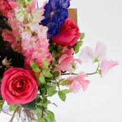 Sugar Sugar original