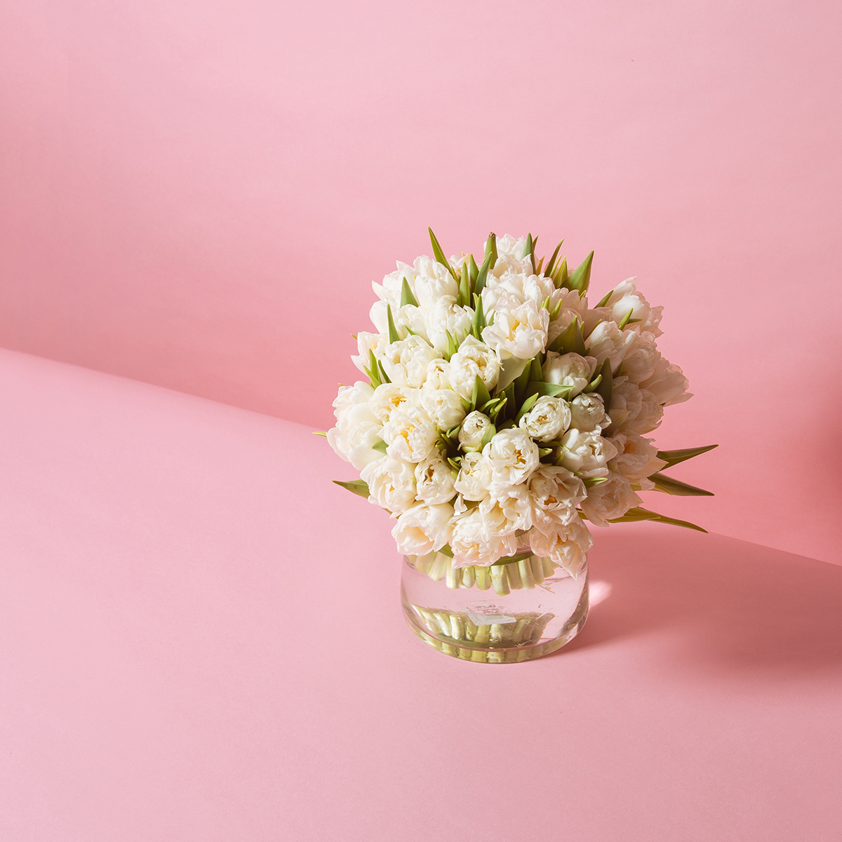 White Innocence original