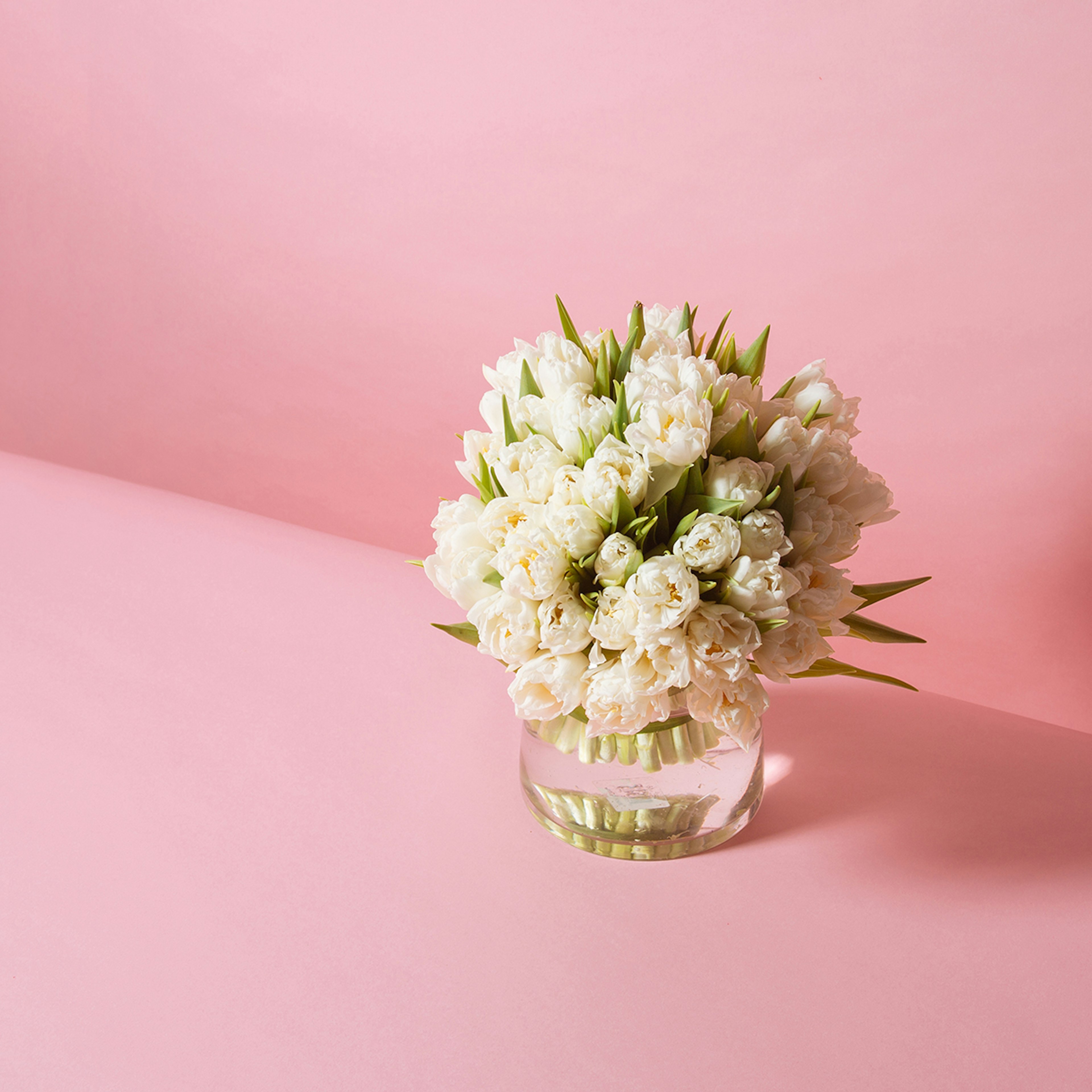 White Innocence original